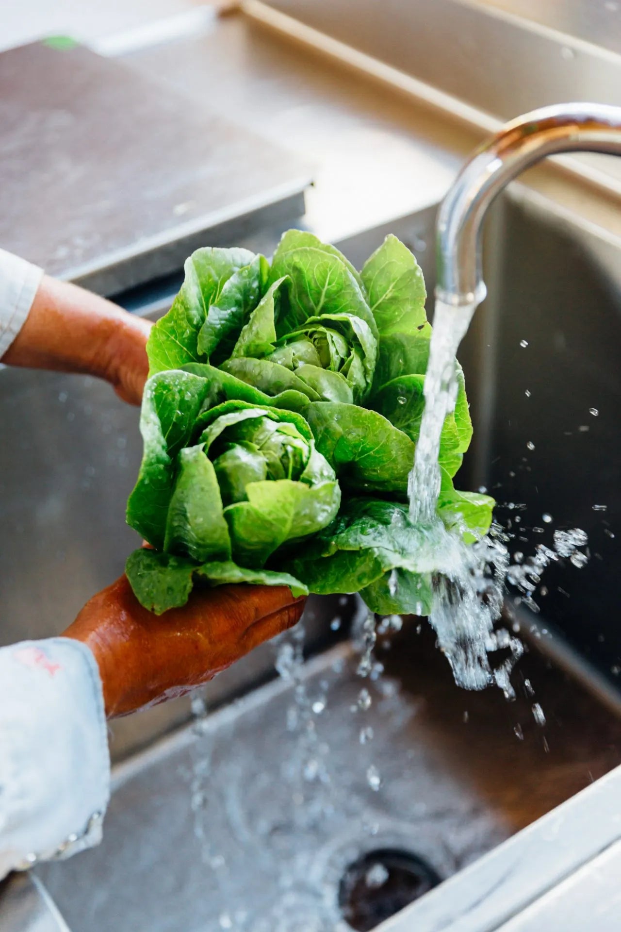Sucrine Lettuce