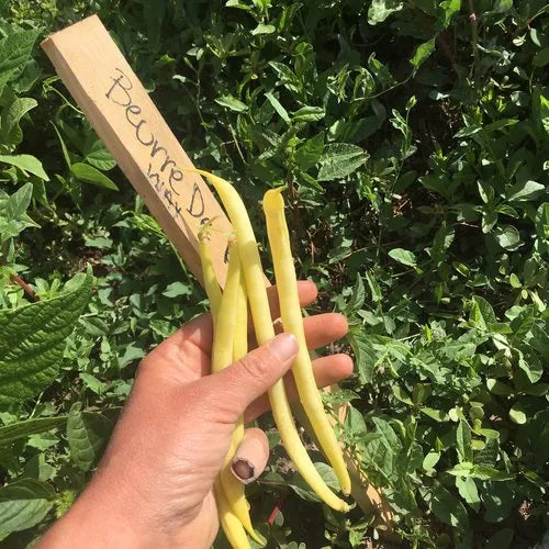 Buerre De Rockencourt