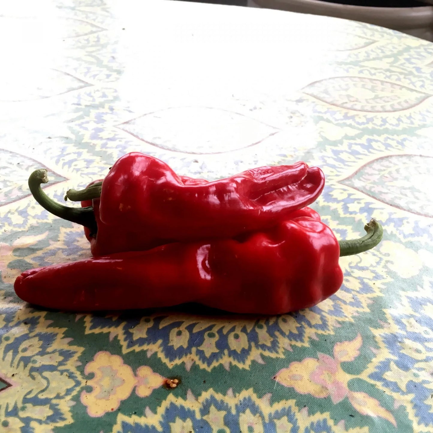 Melrose Pepper