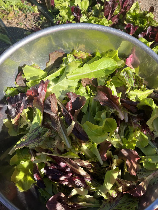 Luscious Crunch Salad Mix
