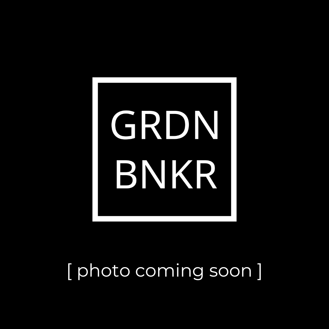 Heirloom & Gourmet Seed Variety Pack for Home Gardeners