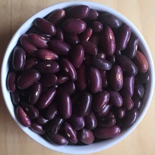 garden bean seeds Provider Bean Seeds (Bush, Snap)