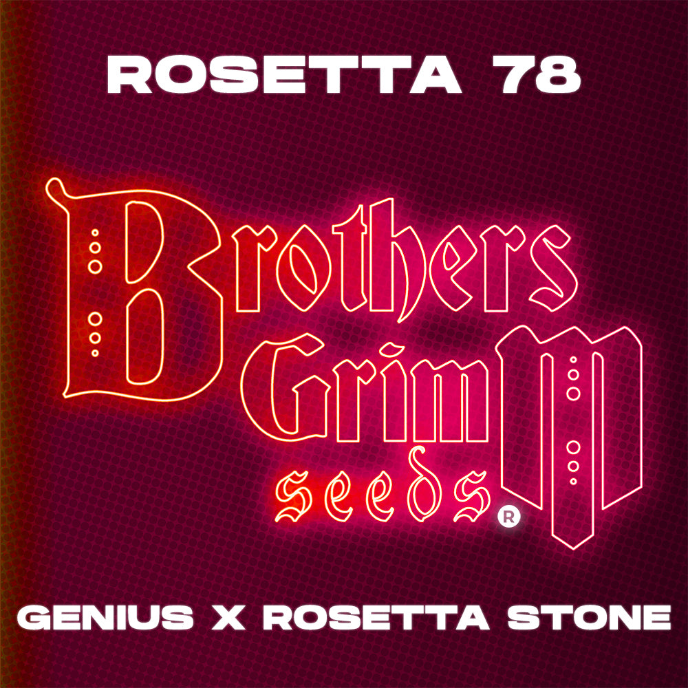 Sticker Pack 1 (Brothers Grimm Limited Edition)