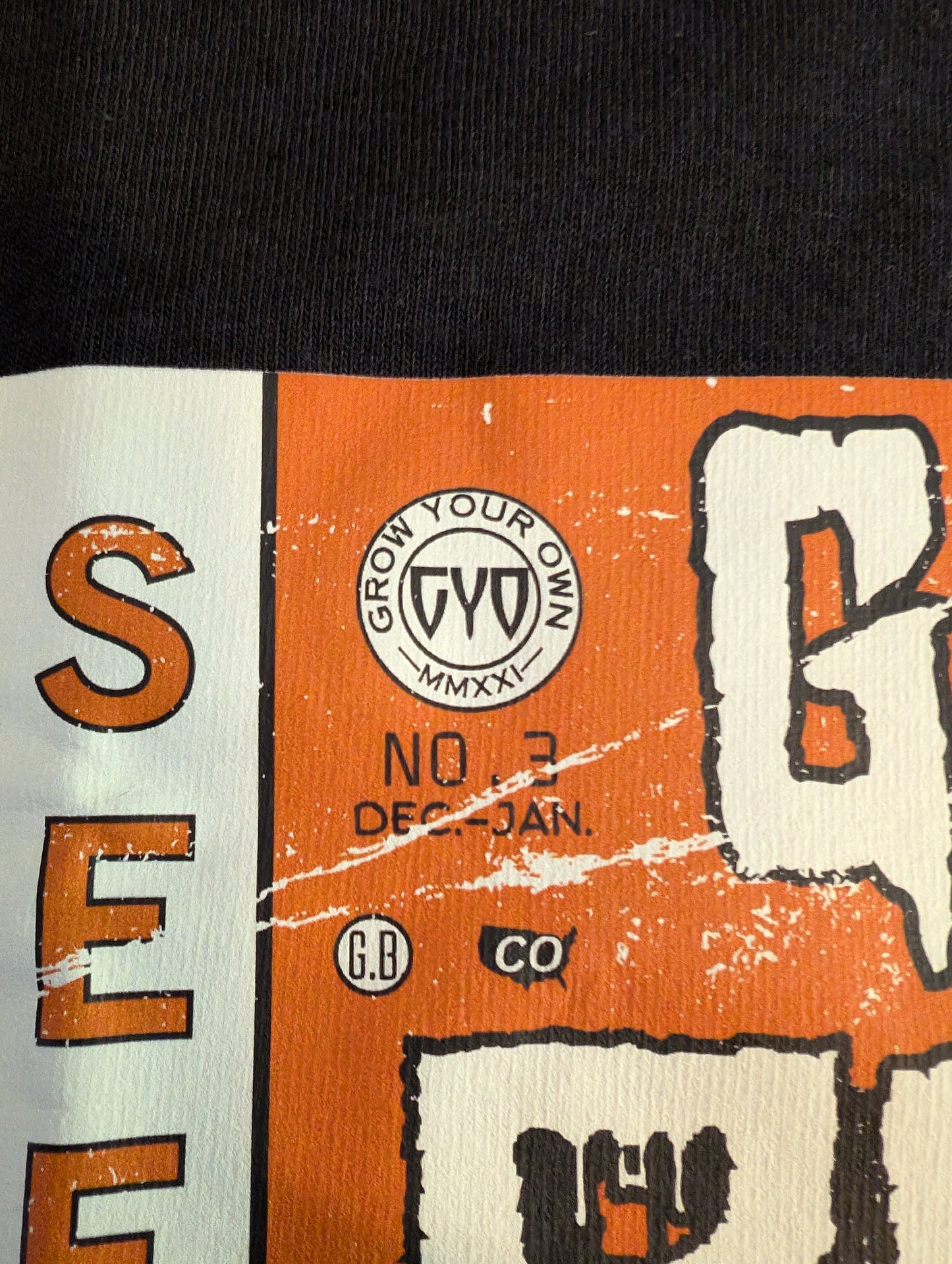 Tales from the Garden No. 3 UAP / UFO Horror Comic Shirt Artwork Grow Your Own GYO Detail