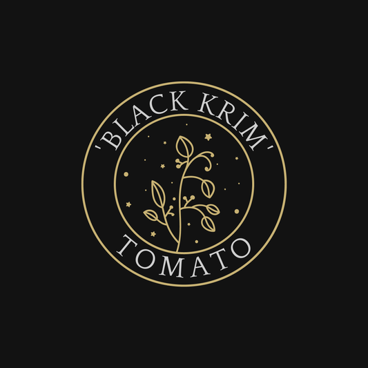 Black Krim Tomato