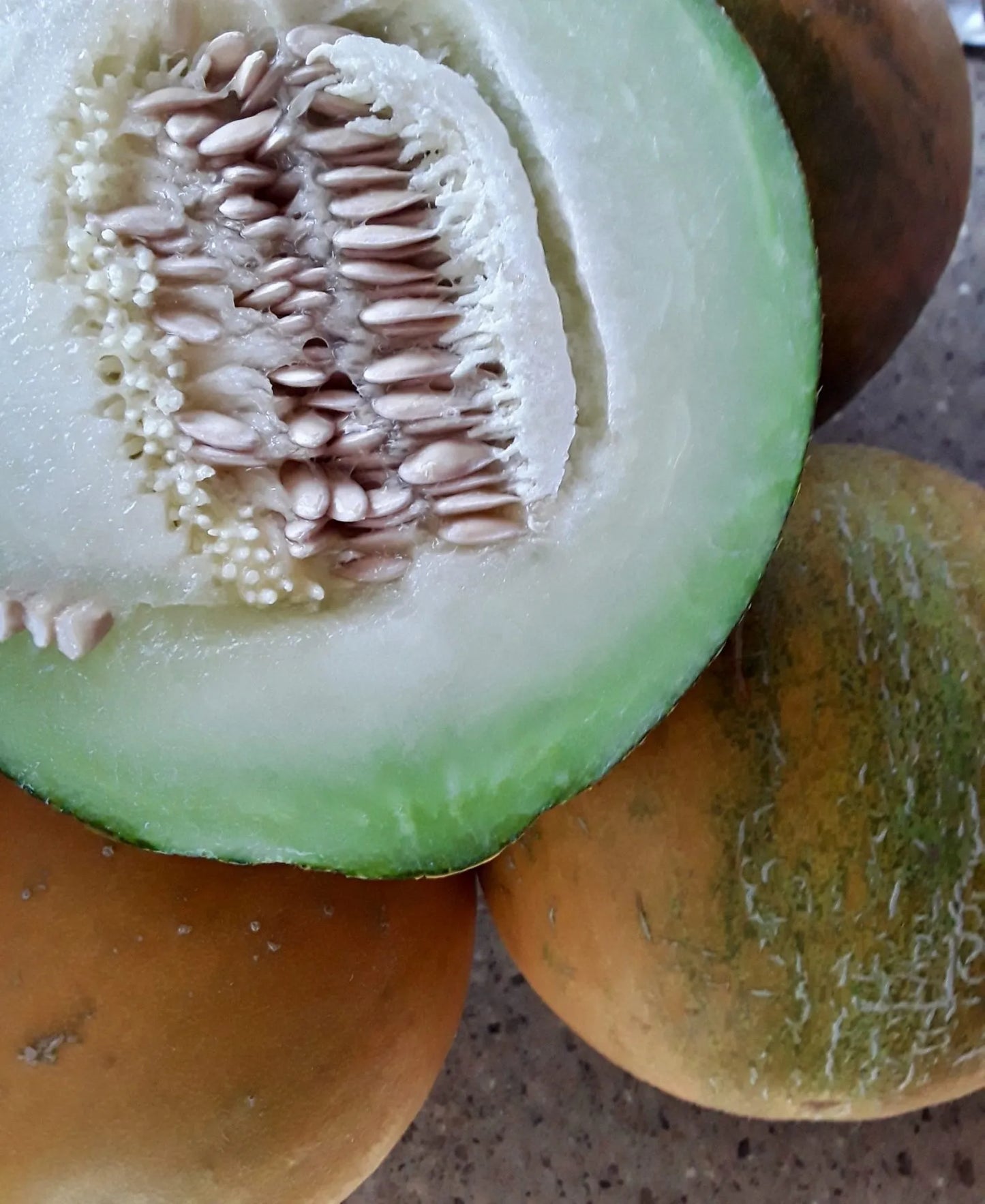 Collective Farm Woman Cantaloupe Seeds