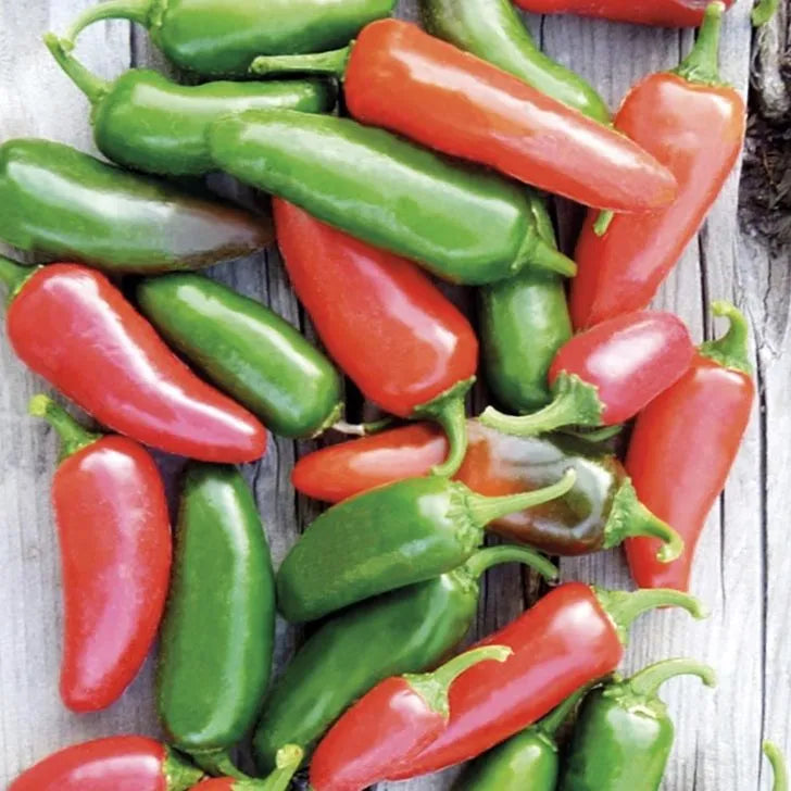 Early Jalapeno Pepper Seeds (Hot, Jalapeno)