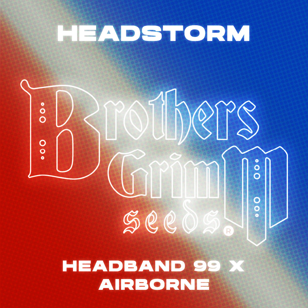 Sticker Pack 1 (Brothers Grimm Limited Edition)