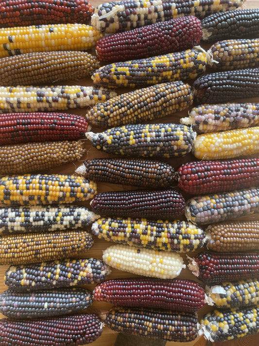 Cassiopeia Popcorn Image