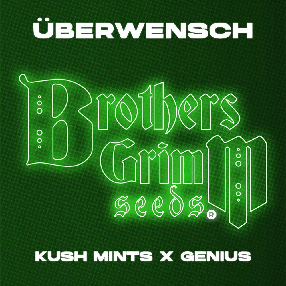 Sticker Pack 1 (Brothers Grimm Limited Edition)