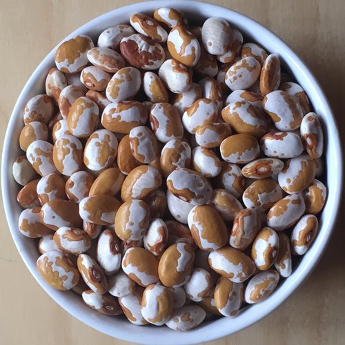 Zuni Gold Bean