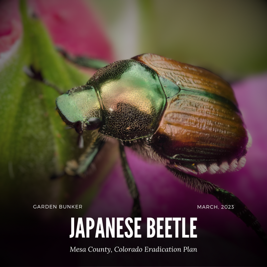 Mesa County Japanese Beetle Eradication Plan: Protecting Our Community and Environment