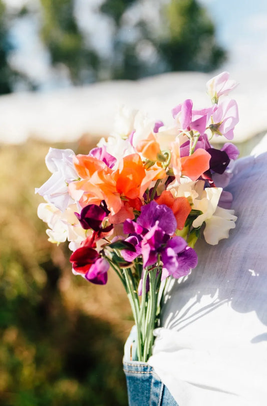 Grandma’s Sweet Pea Mix