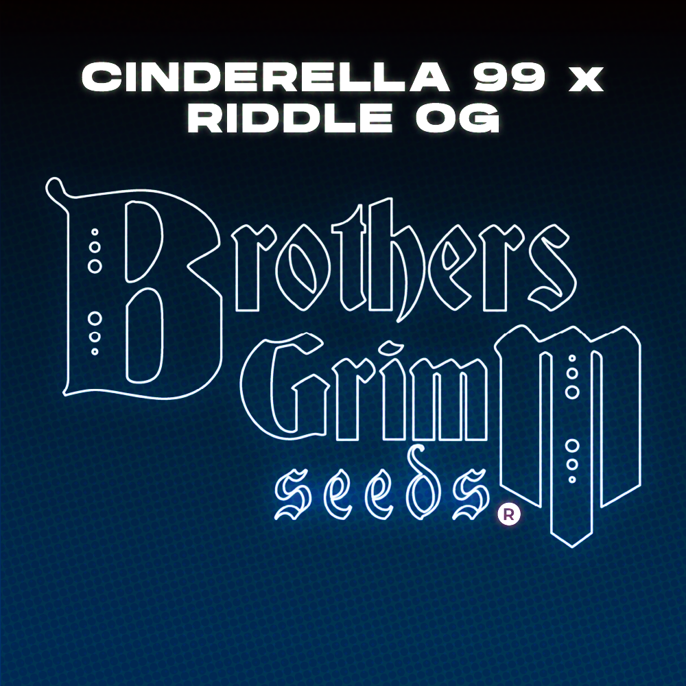 Sticker with Free Gift (Brothers Grimm Seeds - Testers)