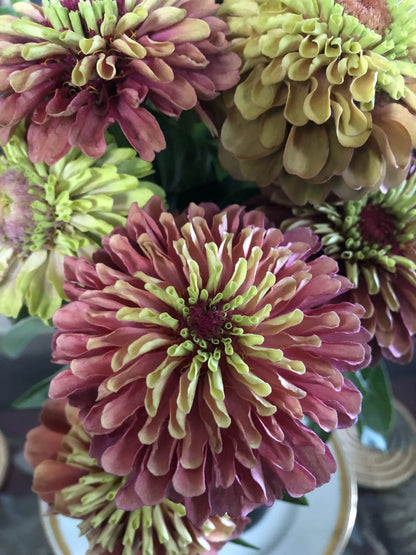 Queen Lime Orange with Blush Zinnia