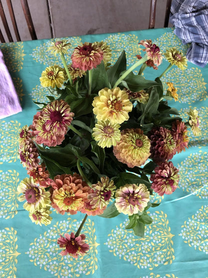 Queen Lime Orange with Blush Zinnia