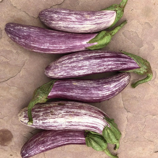 Tsakoniki Eggplant