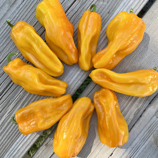 Petit Marseillais Pepper