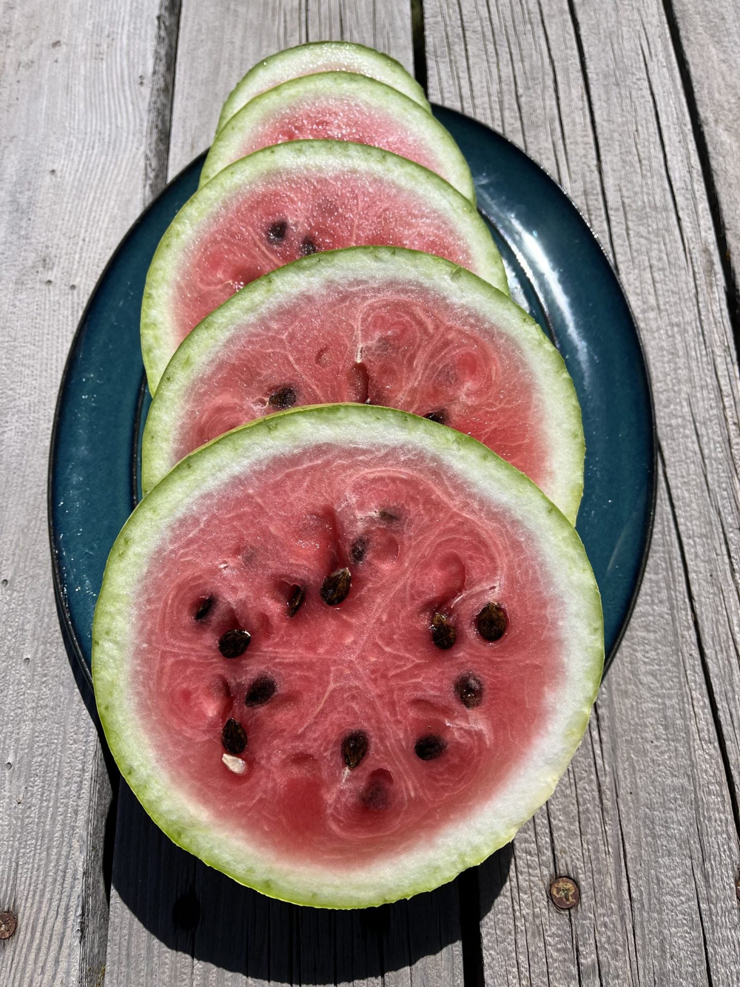 Charleston Grey 133 Watermelon