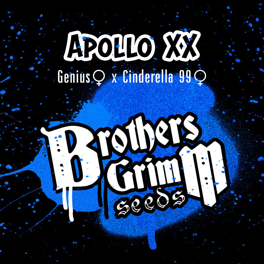 Sticker with Free Gift (Brothers Grimm Seeds)