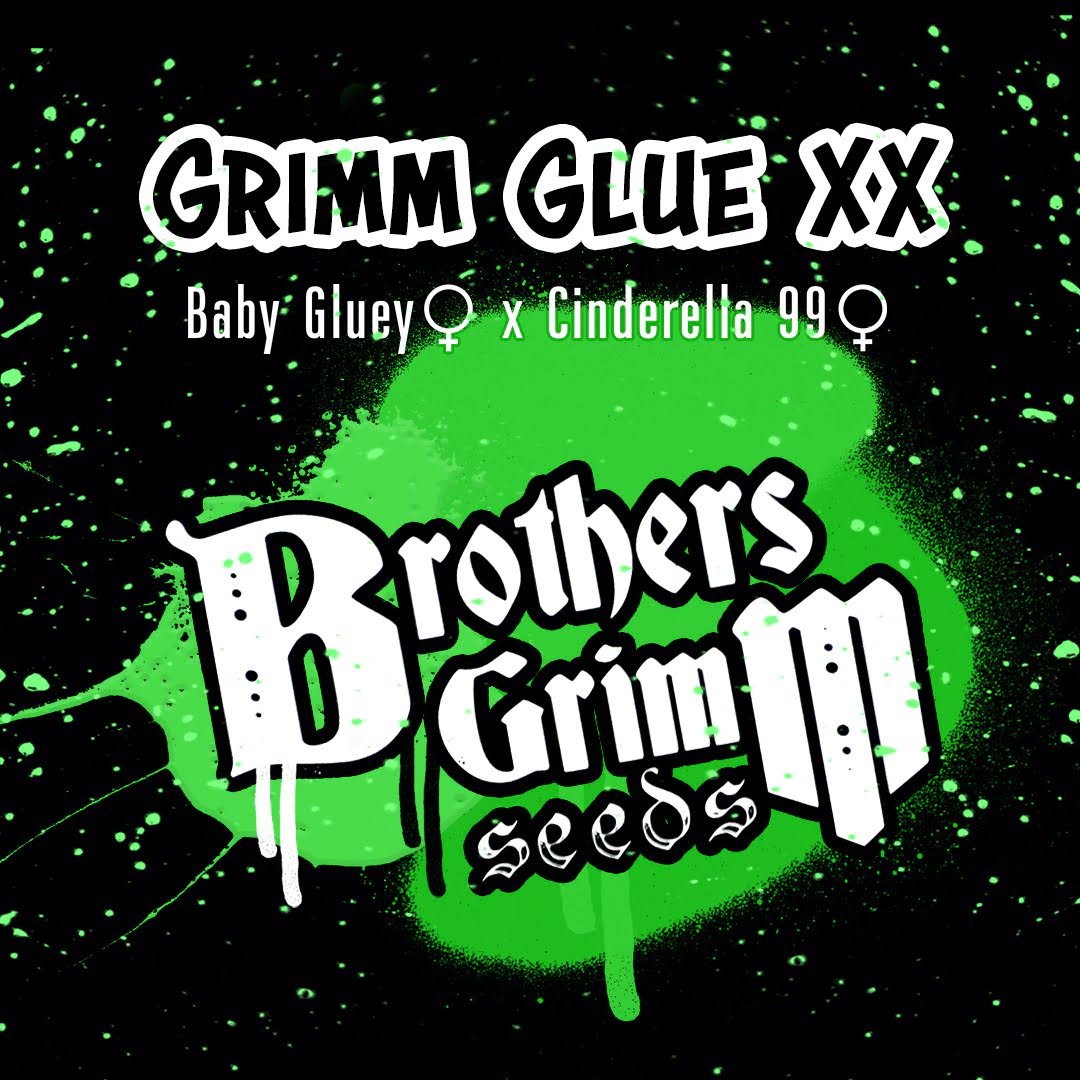 Sticker with Free Gift (Brothers Grimm Seeds)