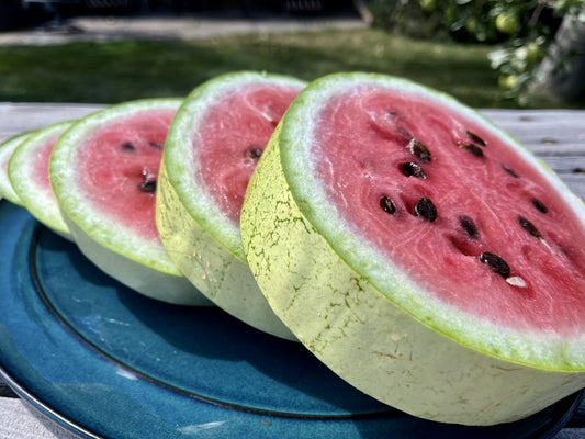 Charleston Grey 133 Watermelon Image