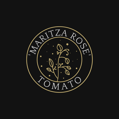 Maritza Rose Tomato Seeds (Heirloom, Pink)